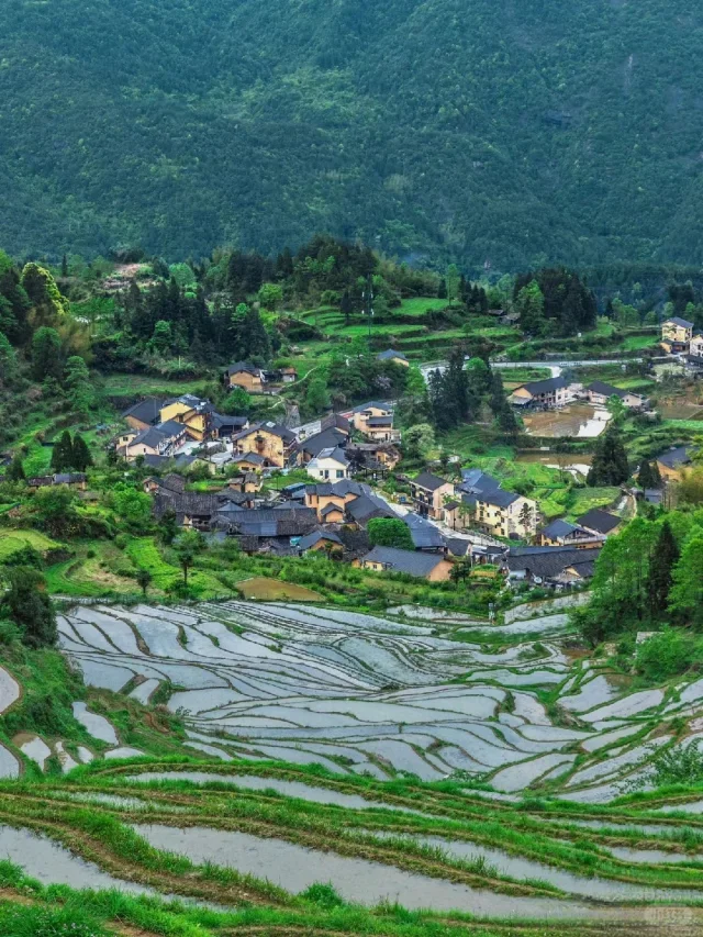 

Android 14 Autoradio For Mercedes Benz C-Class W205 GLC-Class X253 V-Class W446 2016 2017 2018 Carplay GPS Automotive Multimedia