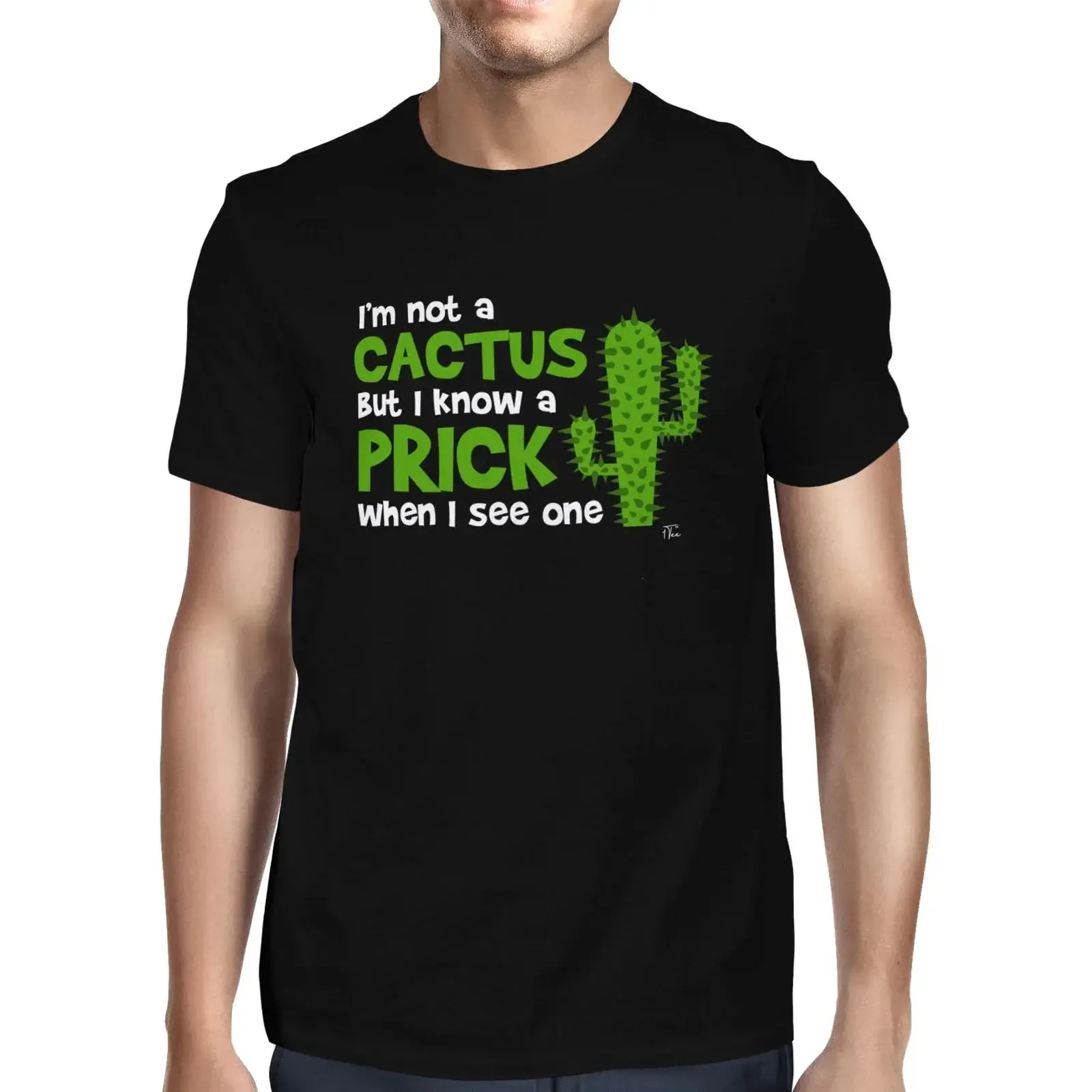 1 T Shirt Herren I'm Not A Cactus But I know Prick When see One Bild von 4 vintage Washed graphic Stretched Comfortable Soft