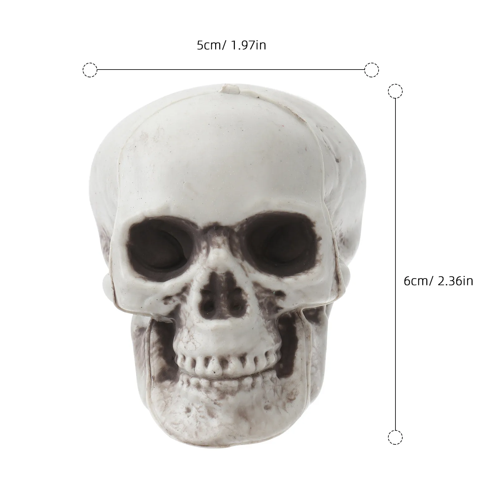 6Pcs Skull Props Realistic Plastic Mini Jaw Horror Decoration Halloween Party Ornament Mantel Table Shelf Display