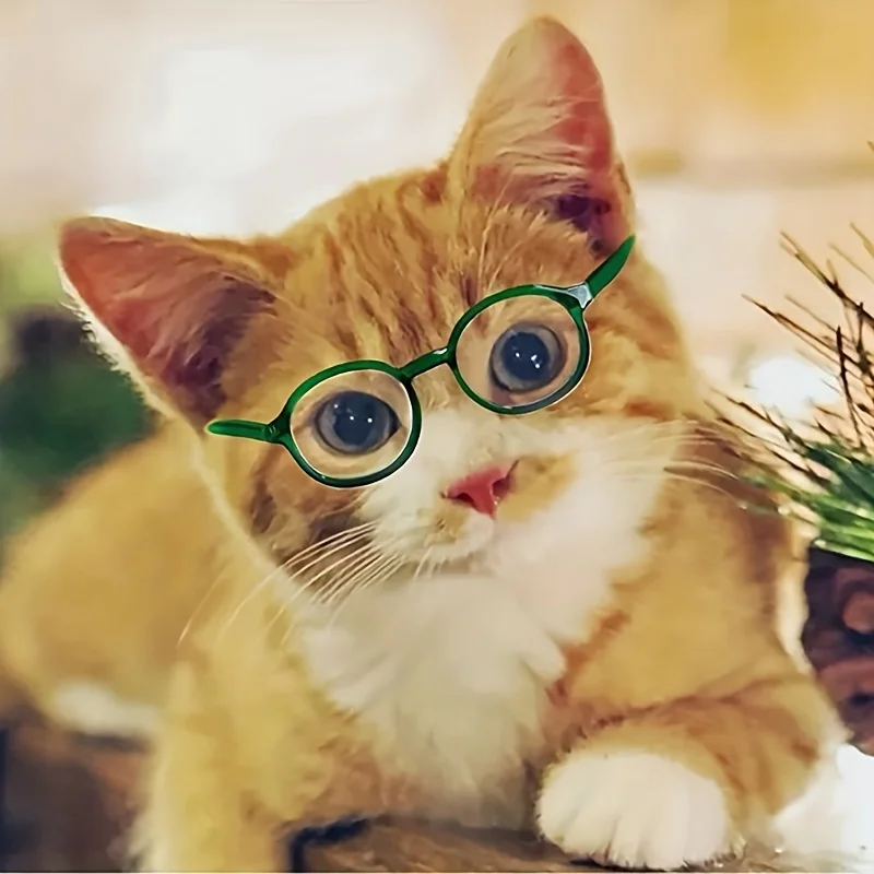 Adorable Cat Glasses: Cool Pet Glasses for the Perfect Pet Photo Shoot!