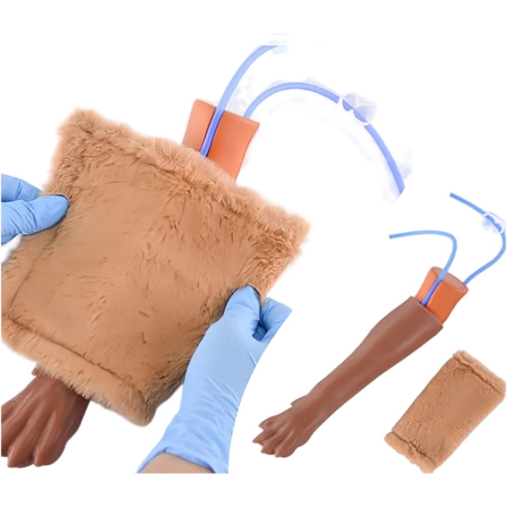 Simulation for Students and Veterinarians Canine IV Blood Draw Injection Practice Model