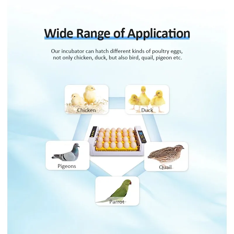 Vollautomatische Ausrüstung mit ROHS-Markierung, 24-Geflügelbrüter-Inkubator