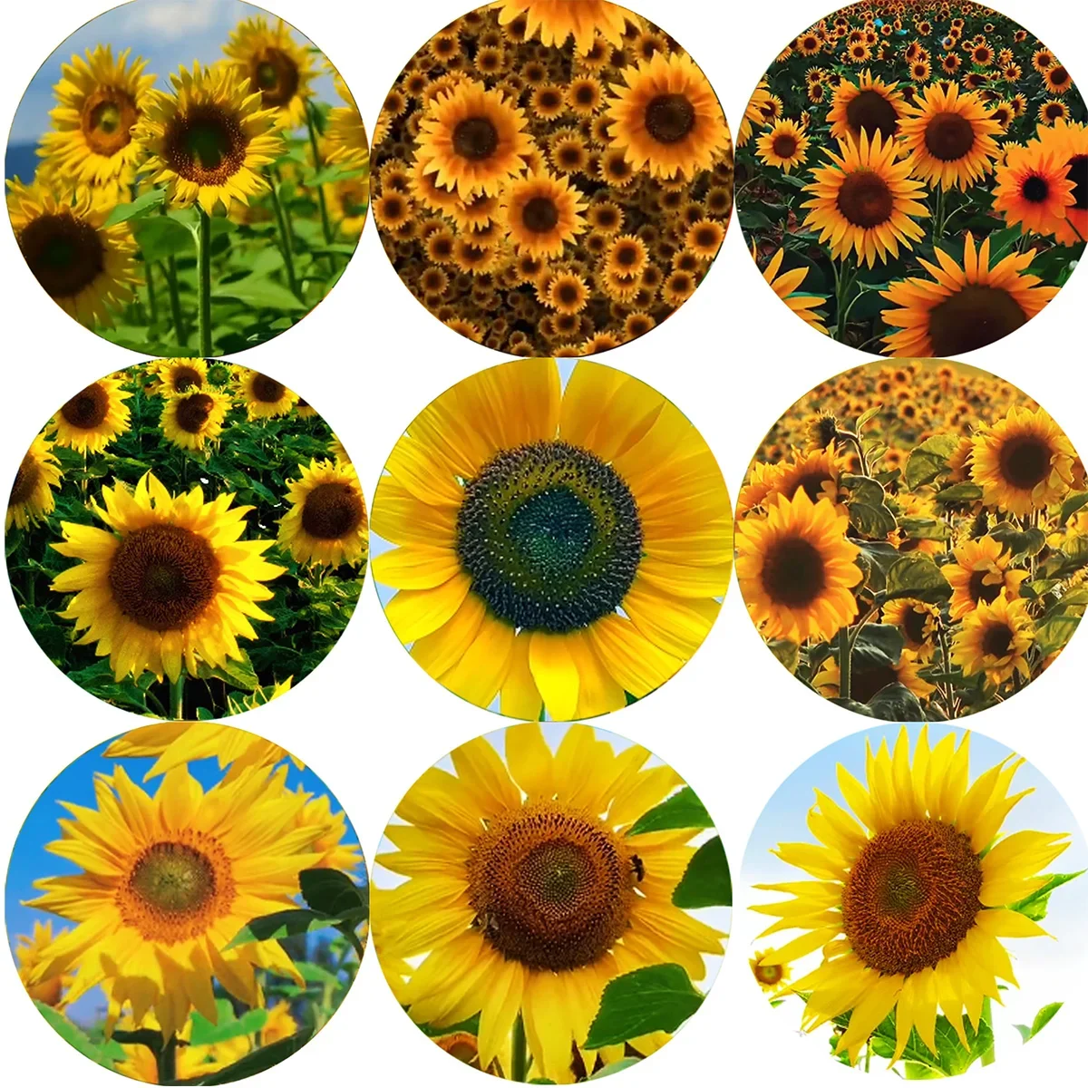 

Love sunflower sports Round photo glass cabochon demo flat back Making findings 10mm/12mm/18mm/20mm/25mm/30mm