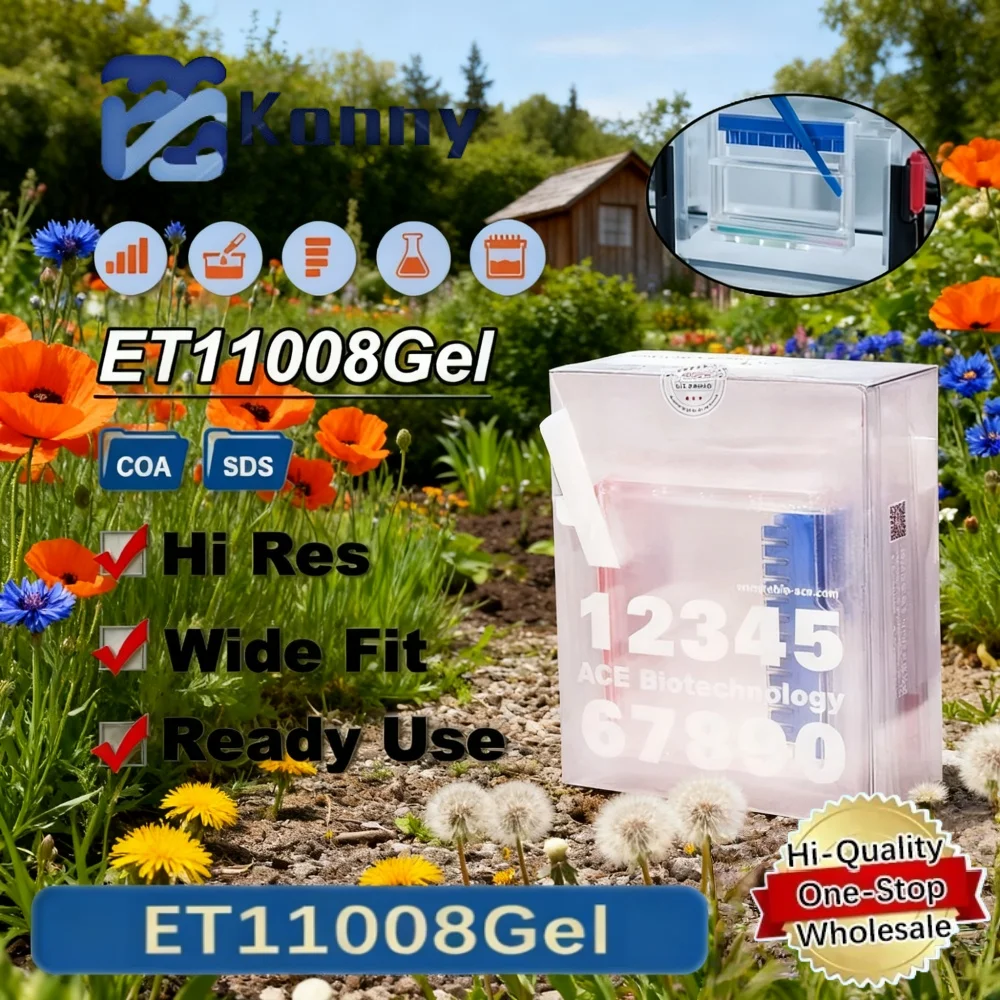 Sds Page Precast Protein Gel For Western Blot Mops Buffer 4 To 20 Percent Gradient 8 To 15 Percent 12 Or 15 Well Separation