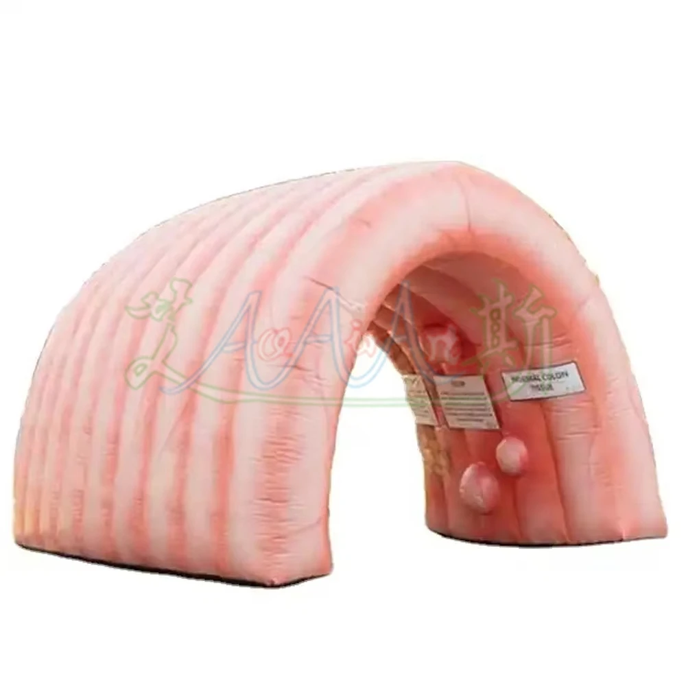 High Quality Giant 4x4x3mH Inflatable Colon For Medical Teaching Use Custom Inflatable Intestine Organ Tunnel Tent