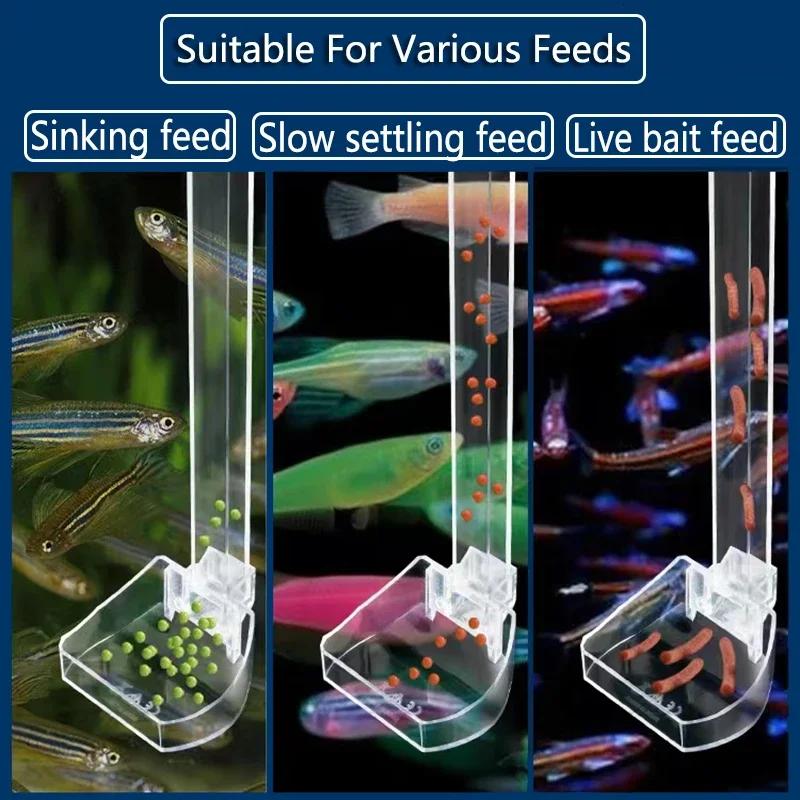 1Set Acryl Aquarium Feeder Buis Schotel Transparant Aquarium Garnalen Slak Garnalen Voedsel Feeder Bowl Aquarium Voeden Accessoires