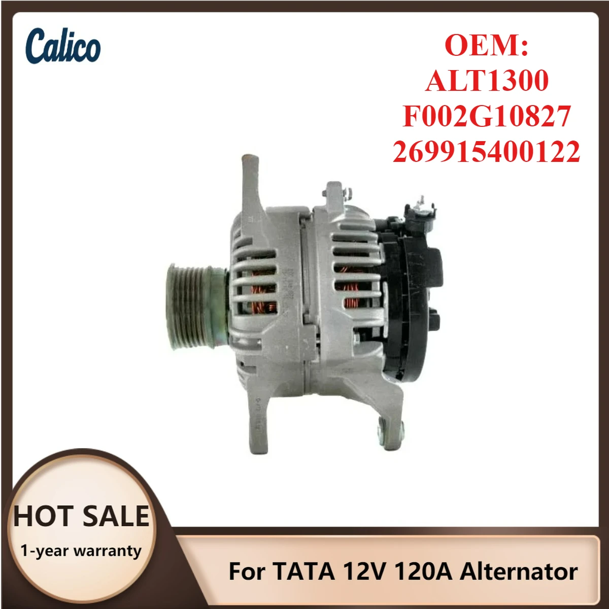 

Эксклюзивное производство. Подходит для генератора TATA 12V 120A ALT1300 F002G10827 269915400122