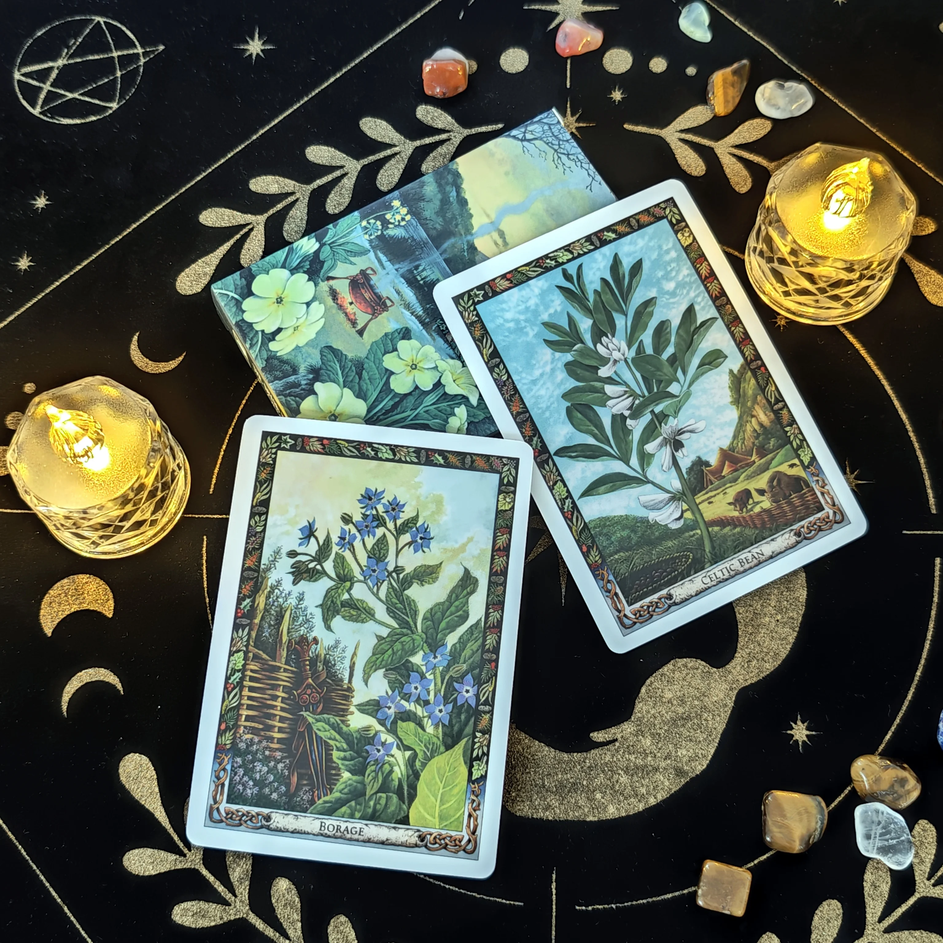 The Druid Plant Oracle 36-Kart – Board Game Research Bewertung und Preis