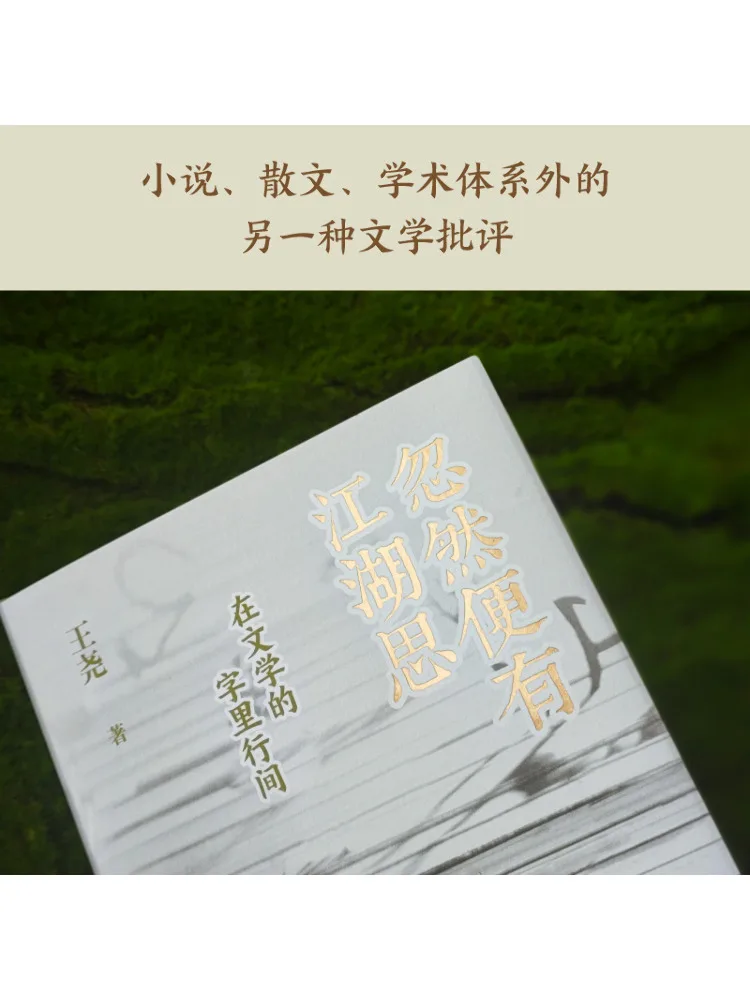 Livro-Winshare Suddenly Há Pensamentos do Mundo nas Linhas da Literatura