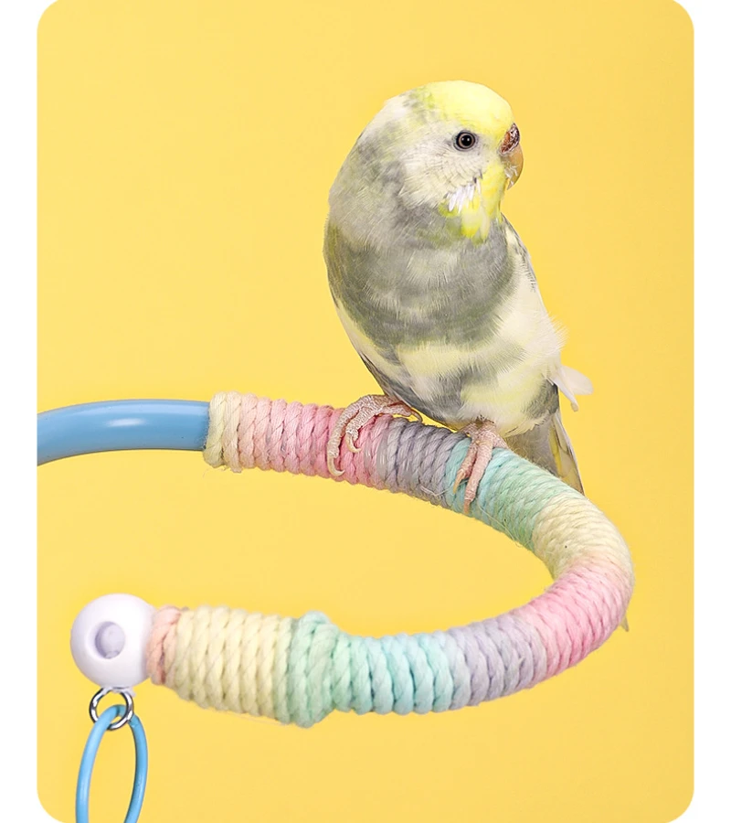 Parrots Perch Stand Training Portable Tabletop Platform Parrot Accessories Indoor Bird Stand for Parakeets Lovebirds Budgies