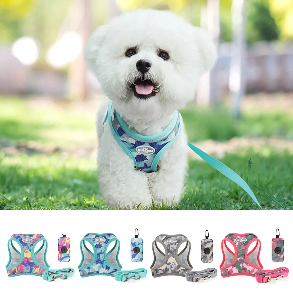 

Pet Harness and Leash Set Adjustable Soft Mesh for Small Medium Dogs Cats, Fashion Breathable Strips, Puppy Kitten Walking Gear