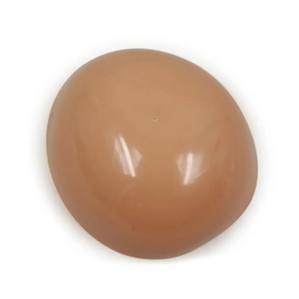 Doll Head Scalp Shell Set for 12inch RBL Neo Blythe Rooting Hair Wig
