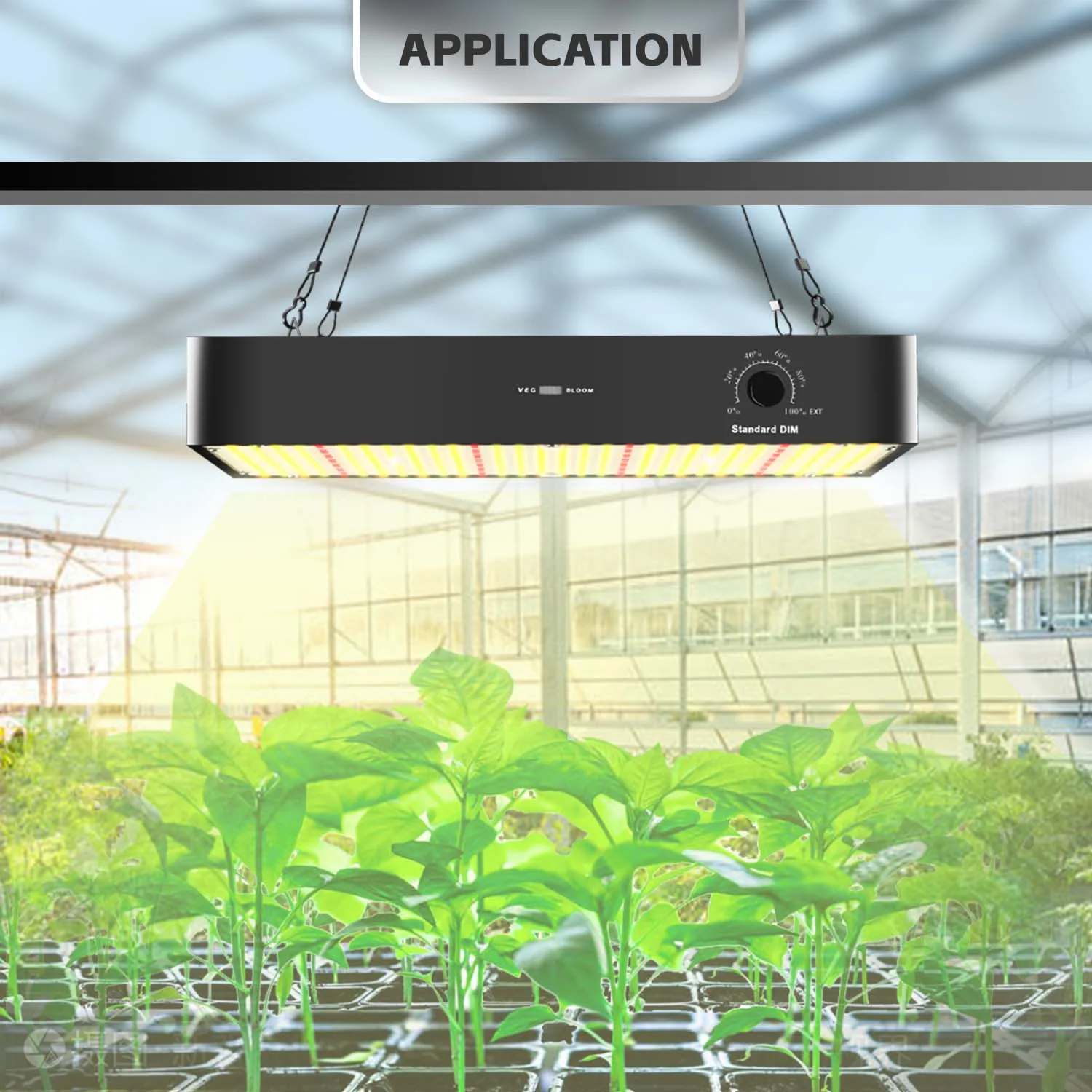 Luz LED de cultivo 100W/200W/300W espectro completo 48V lámpara de cultivo para plantas de interior vegetales flor hidropónica y Kits de tienda de cultivo