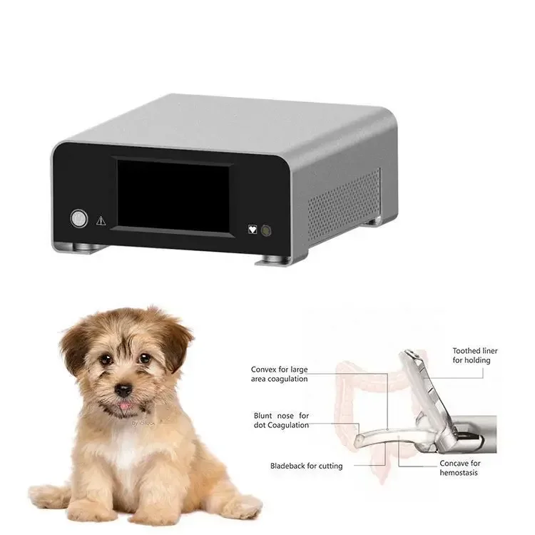 Pet Hospital Animal Ultrasonic Pet Operating Room Coagulation Stop The Bleeding Machine Ultrasonic System