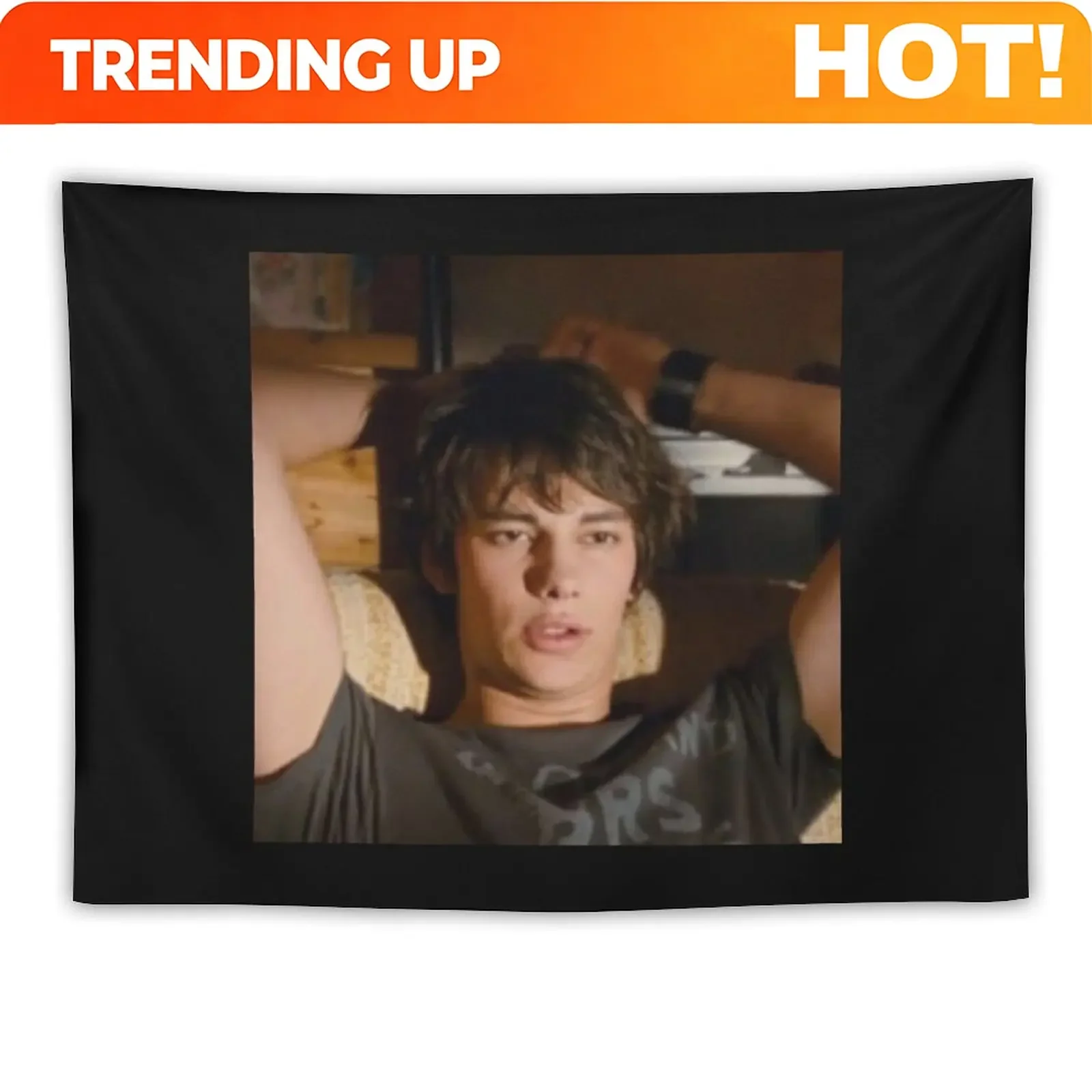 Custom Rodrick Heffley Diary Of A Wimpy Kid Tapestry Aesthetic Room Decoration Aesthetic Room Decor Korean Room Decorations Tape