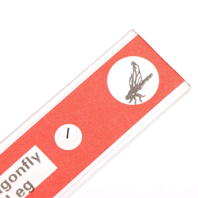12x Prepared Microscope Slides Set For Student Basic Biology Education Drop Shipping