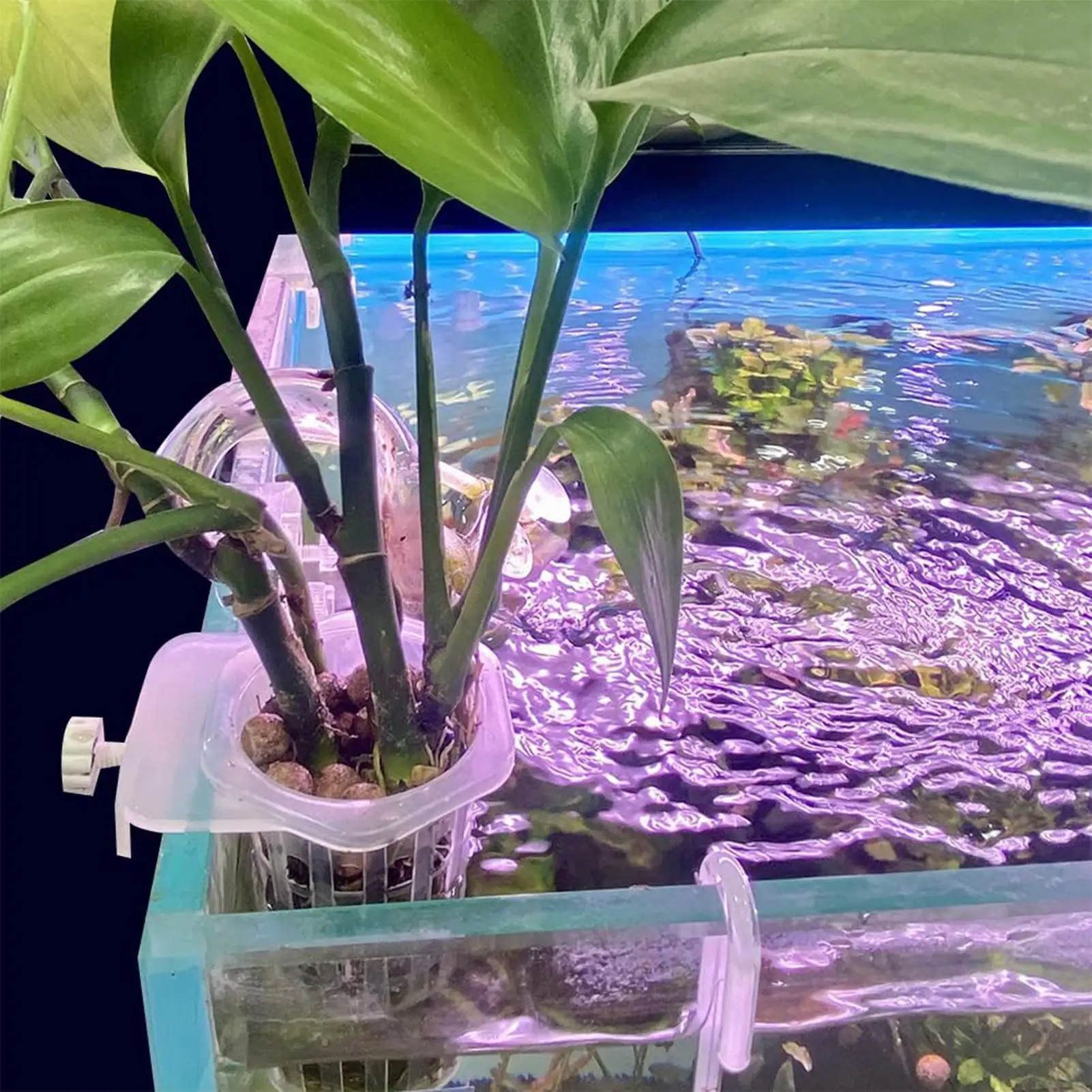 2PCS Hangable Aquatic Plant Holder with Holes Aquarium Decoration Plant Cup Pot Acrylic Aquatic Plant Cup Decoration Tool - view 5