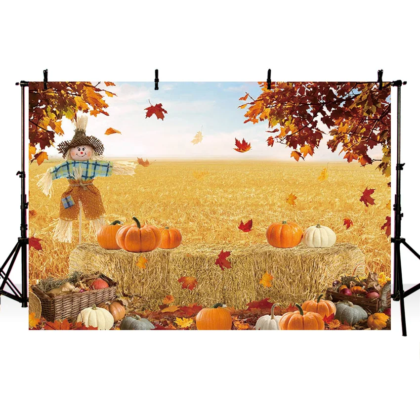 Autumn Maple Forest Fallen Leaves Haystack Pumpkin Landscape Decoration Photography Background Scarecrow Backdrop Photo Studio