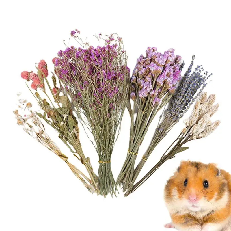 Flower Hamster Bedd… - image