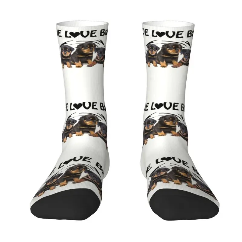 Novelty Printing Live Love Bark Rottweiler Puppies Socks for Women Men Stretchy Summer Autumn Winter Animal Dog Crew Socks