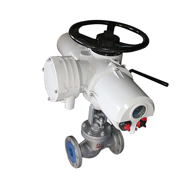 

Motorized Globe Valve Forged Globe Valve Dn60 Pn25