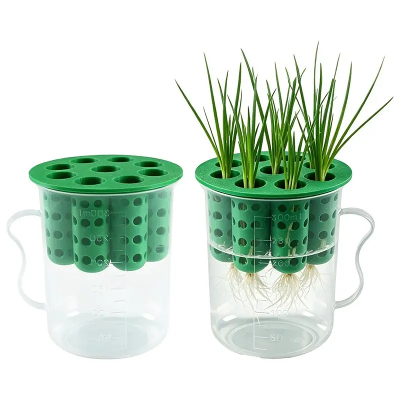 ABXF-Green Onion Planter Scallion Regrower Sprouting For Window