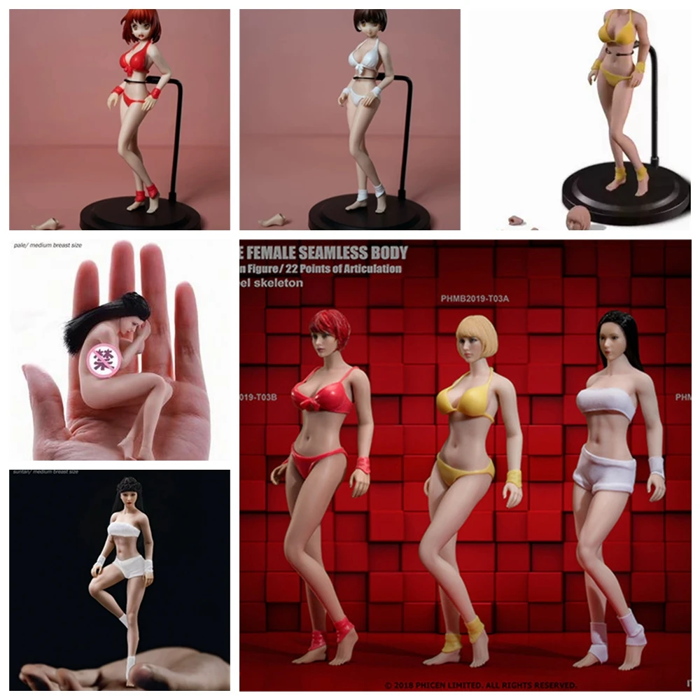 TBLeague  Female Body Doll T01 T 02 T 03 A B   Pale Sutan 1/12 Super-Flexible Seamless Bodies  Plump Style for 6 Inch Model Toys