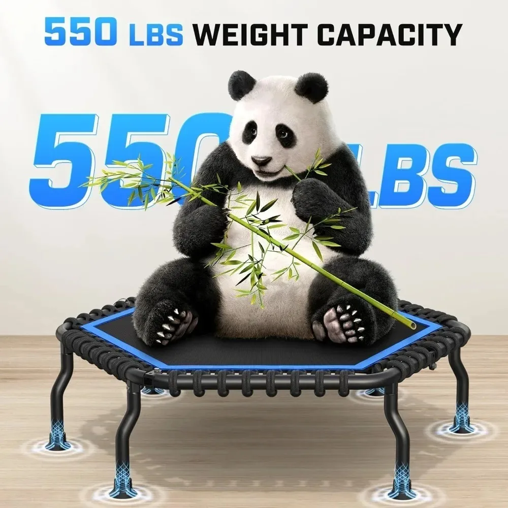 تخفيضات كبيرة - ترامبولين ريبوندر 50 بوصة للبالغين مع شريط، ترامبولين صغير 550 رطلاً، تمرين هادئ بنجي القفز على القلب #3