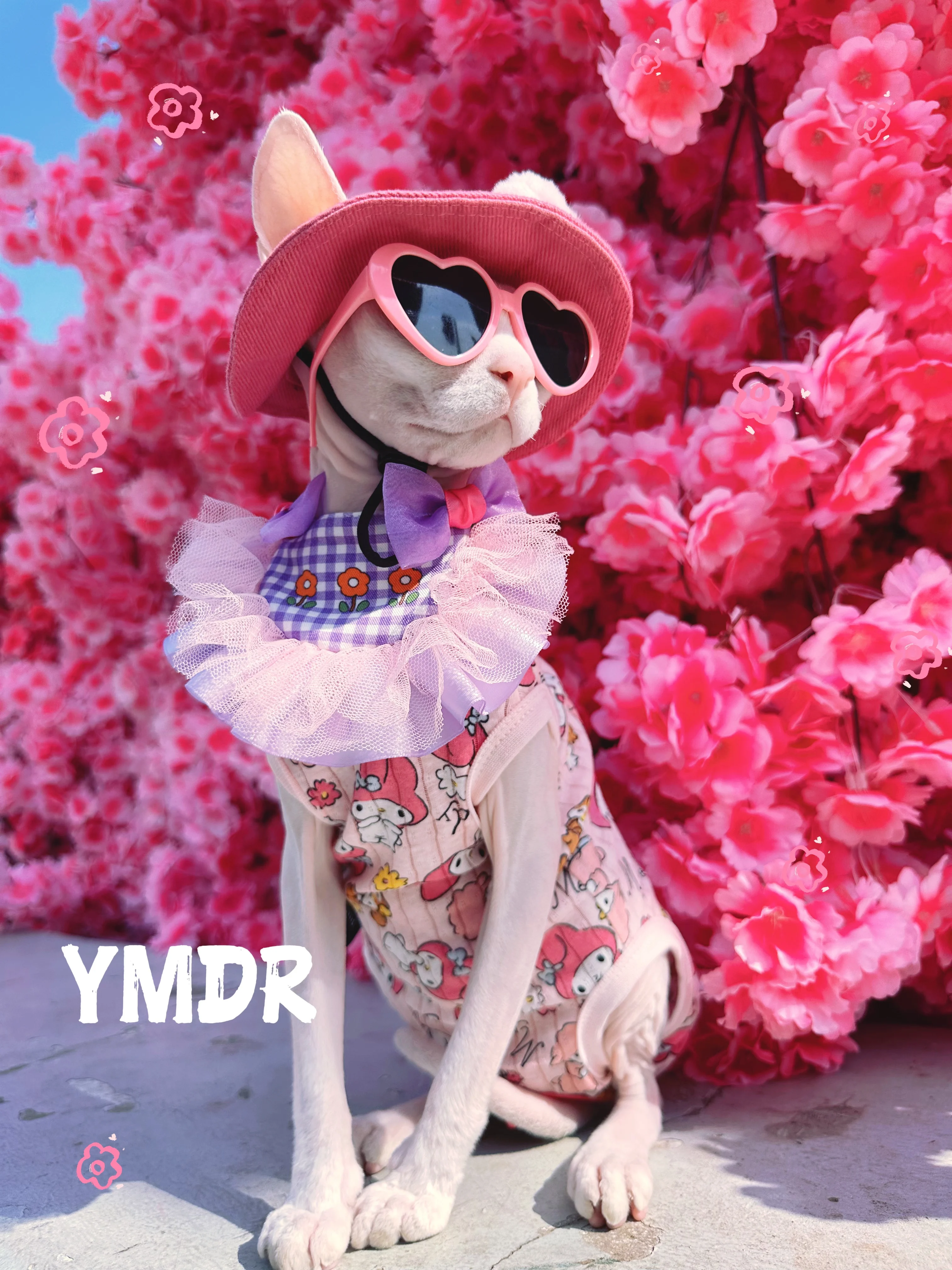 Fashion Cat Pink Vest with Sunglasses for Sphynx Cat Summer Short Sleeves for Kittens with Hat Cat Loungewear for Devon Rex