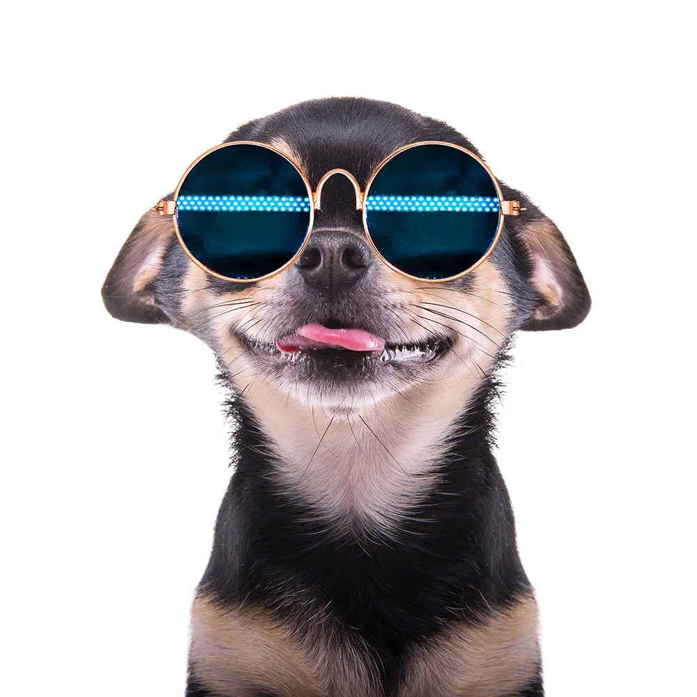 Pet Round Glasses Handsome Metal Frame Pet Beauty Accessories Dog Sunglasses Small and Medium-sized Dog Cat Goggles Pet Products