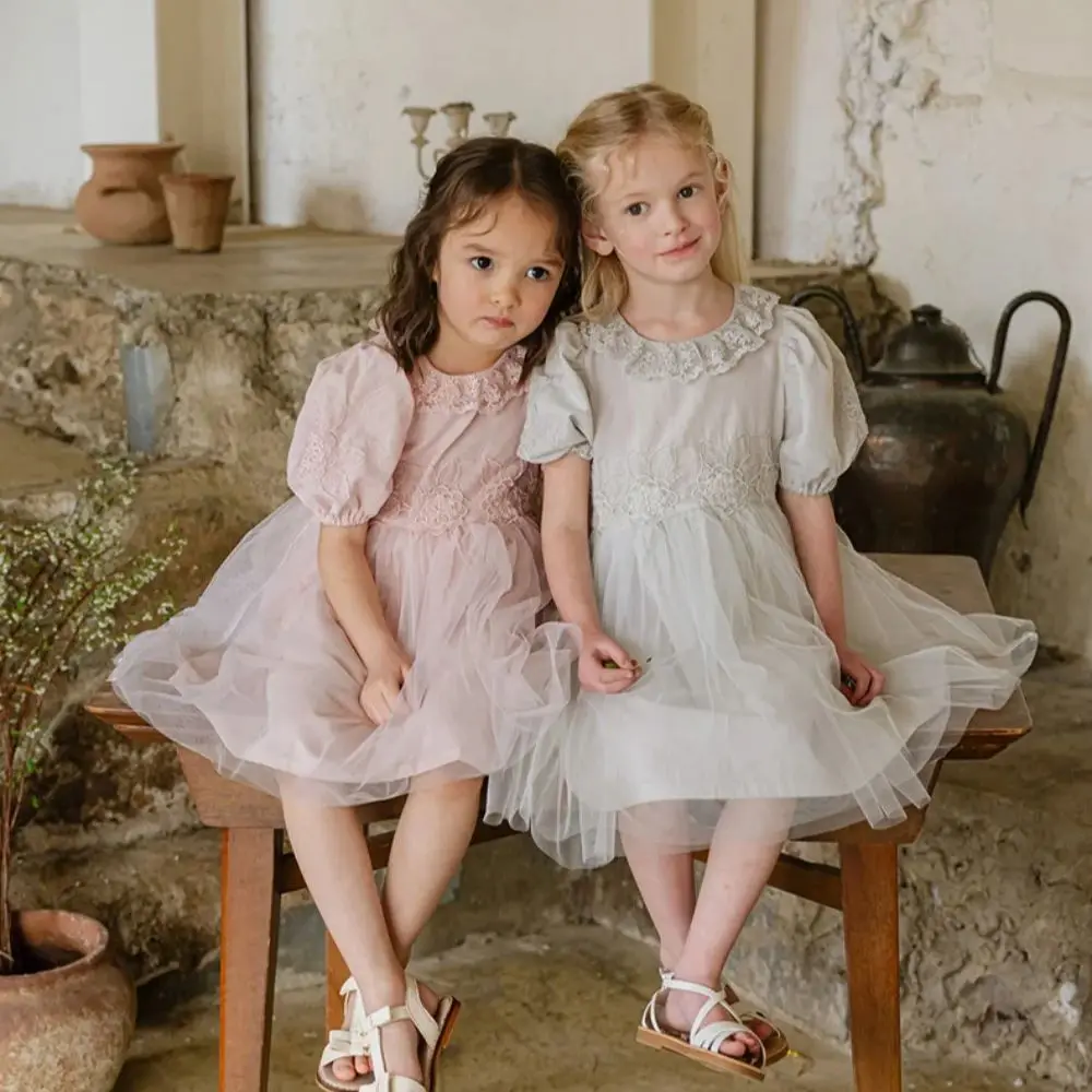

Cute Baby Girls Dress Children Princess Gorgeous Embroidered Yarn Short Sleeve Dress Casual Dress for Summer Toddler Kids Dress