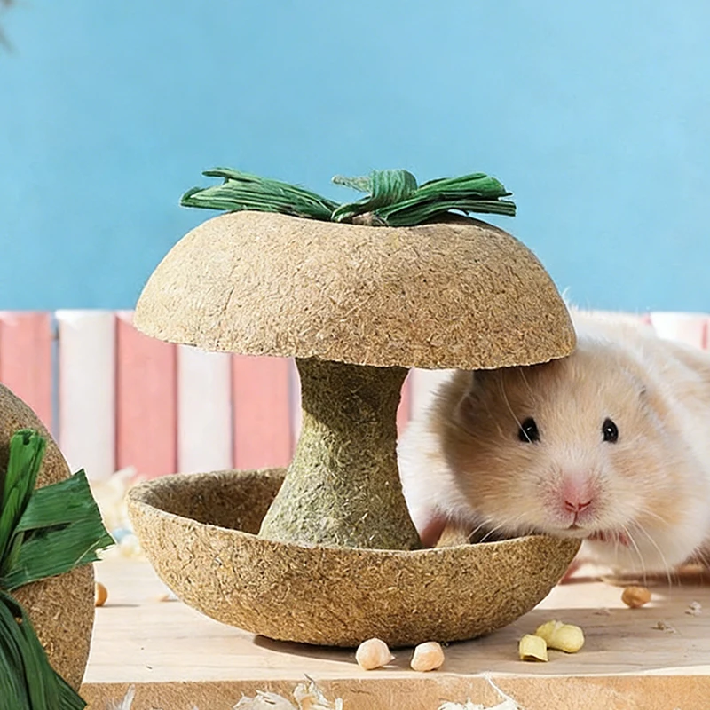 Thumbnail 2 - #22 Best Hamster Exercise Wheels to Buy In 2026