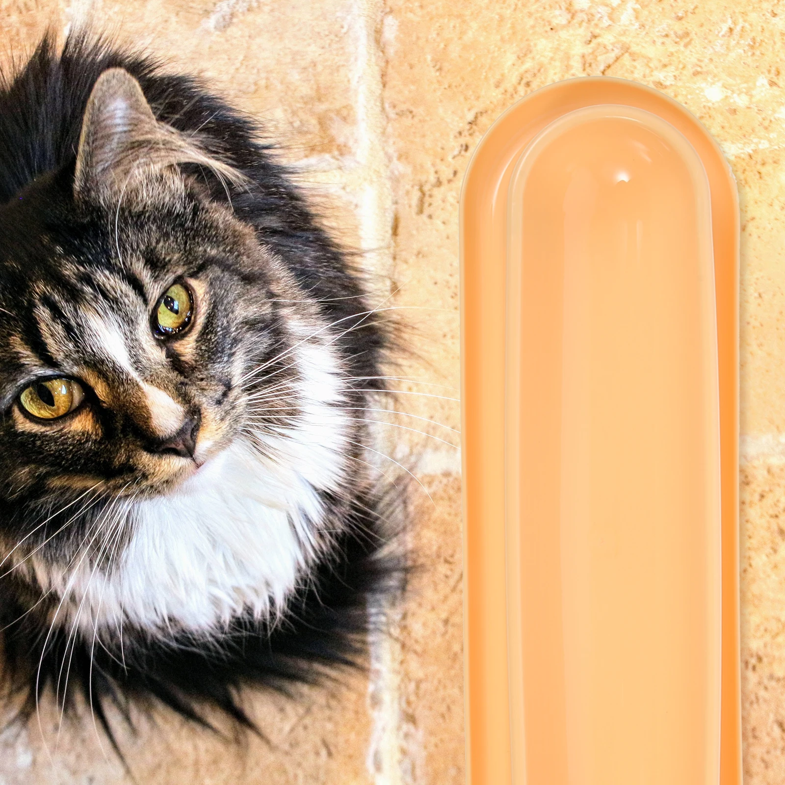 

Anti-Slip Pet Durable Kitten Dog Food Portable Household Feeding Plastic Cat Bowl Household Puppy Bowl Pet Accessory