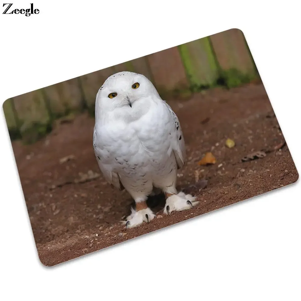 Owl Print Anti-Slip Rubber Doormat Wear-Resistant and Dirt-Resistant Bathroom Entrance Door Mat Kitchen Floor Mat Absorbent