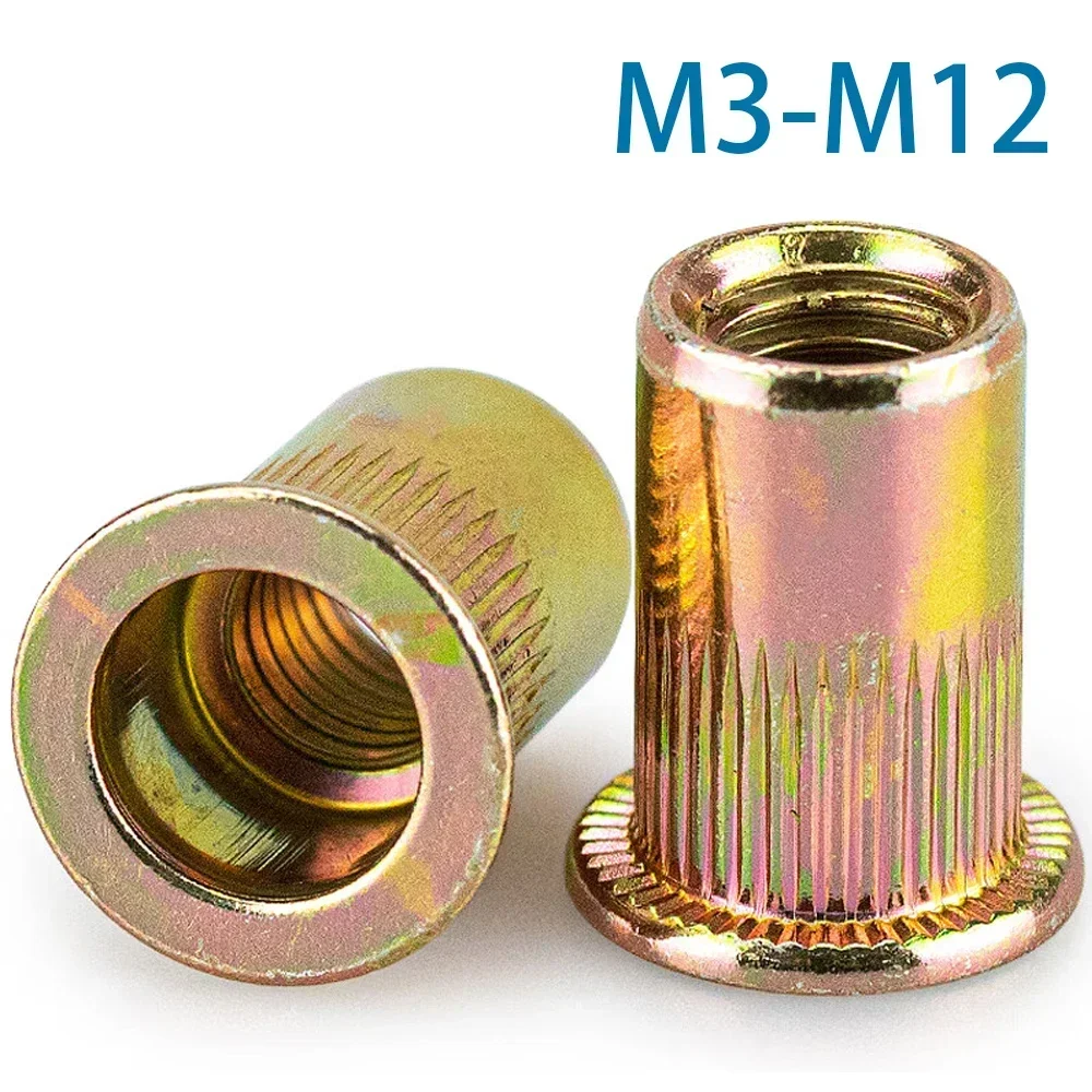 10-100 Pieces M3 M4 M5 M6 M8 M10 M12 Blind Rivet Nut Flat Head Threaded Rivet Insert Nut Cover Rivet Nut Galvanized Carbon Steel