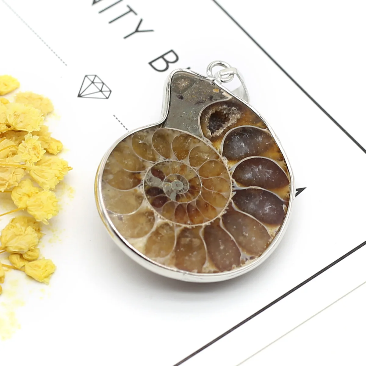 Natural Freshwater Shell Pendant Conch Shape  Mother of Pearl Exquisite Charm for DIY Making Personality Necklace  Accessories