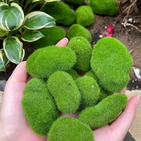 Artificial Green Moss Plants Simulated Moss Stone Creative Home Garden Lawn Floor Ornament Landscape Bonsai Decoration