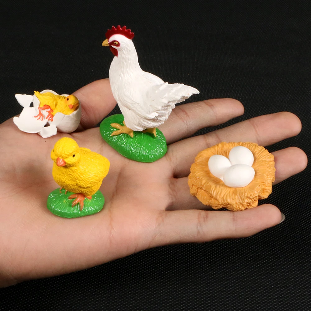 Kids Toy Life Cycle Chicken Dragonfly Animals Growth Cycle Model Figurine Simulation