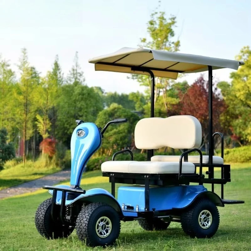 1500W Foldable Electric Golf Cart with 24v Battery 50-65km Range for Passengers Electric Mobility Scooter