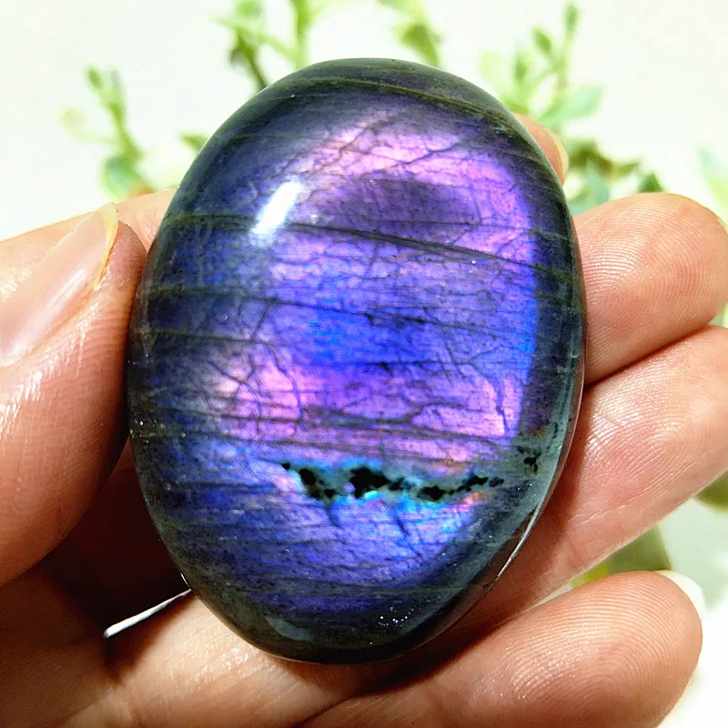 Pierre de palmier en labradorite naturelle, violet-jaune clair, pour la méditation, la guérison spirituelle des chakras, le Feng Shui et la décoration intérieure