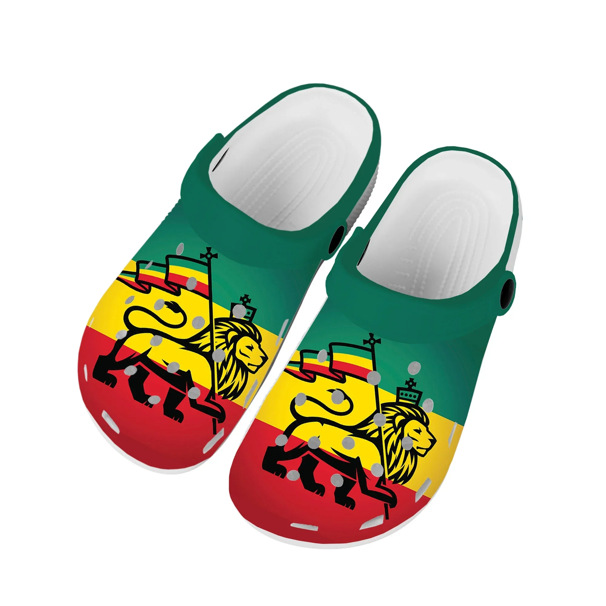 Reggae Rastafarian Rasta Rastafari Sabots personnalisés pour la maison, chaussures d'eau pour hommes et femmes, chaussures pour adolescents, jardin, pantoufles de plage