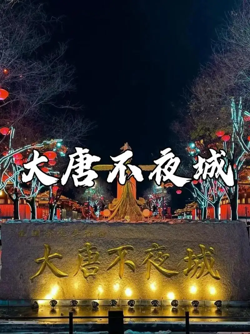 

Mini Maxx/Mini XRT Nylon Protection Net Chassis Dust Cover Waterproof RC Car Upgrade Parts Accessories