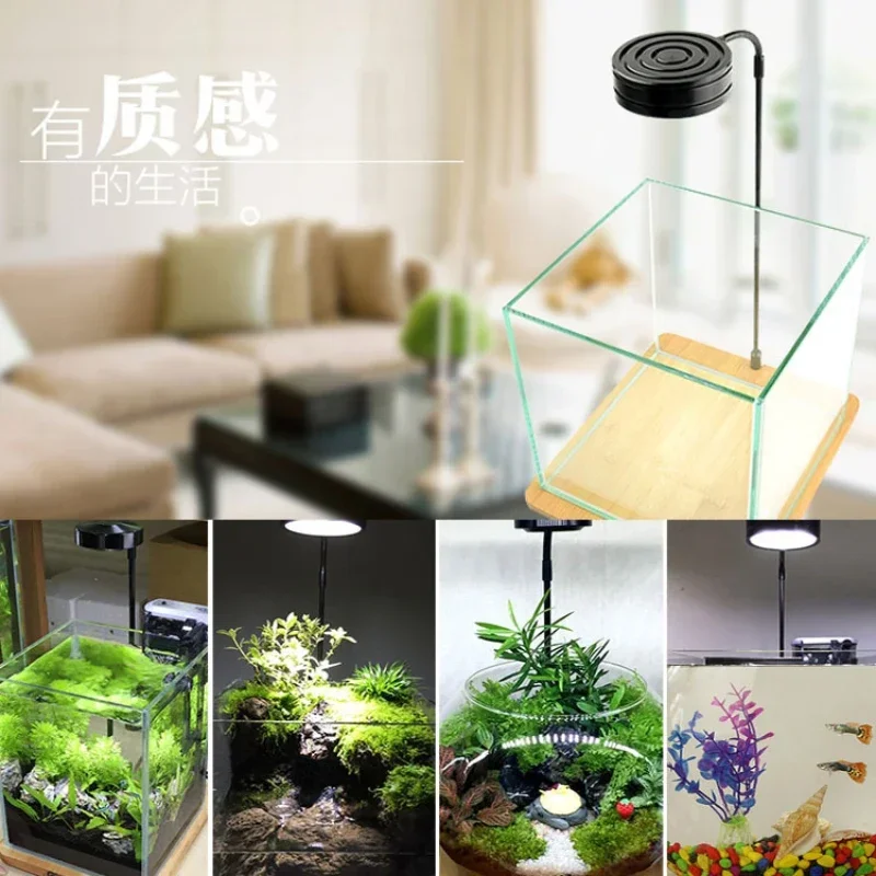 Mini LED Aquarium Light With Bamboo Board,Nano Freshwater Plant Fish Tank Light Help For Plant Growth,Micro Landscape LED Lamp