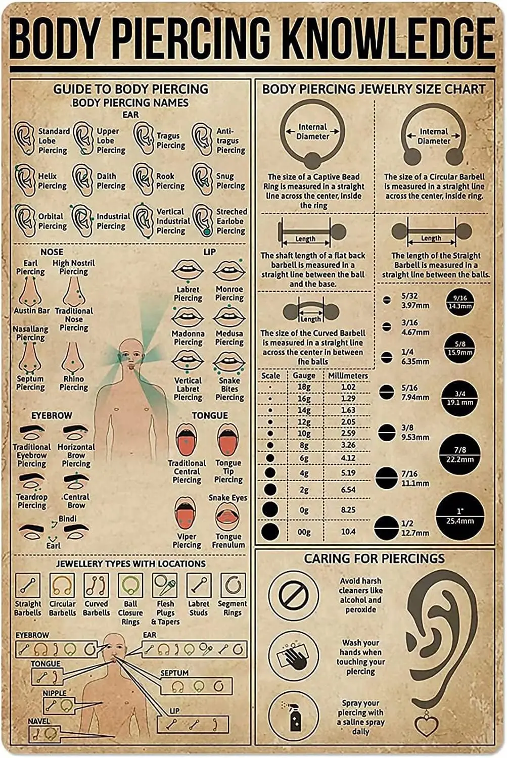 Affiches métalliques sur le piercing corporel, Guide scientifique, Décoration murale pour artistes tatoueurs, cliniques, hôpitaux, Plaque vintage