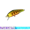 COLOR 15