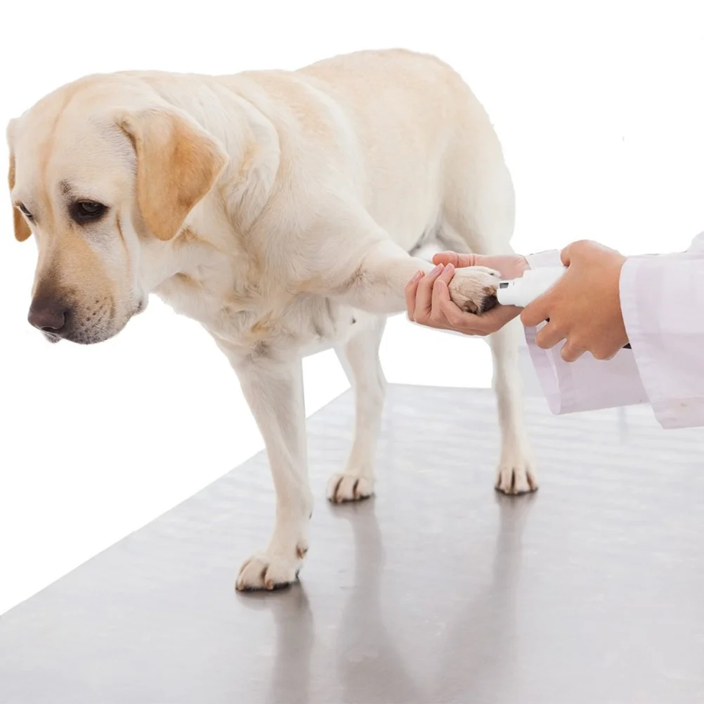 

Pet Nail Grinder Electric Dog Nail Clipper Quiet Motor Fast Trimming Easy Operation ABS Material Suitable for All Breeds USB