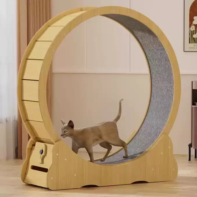 Wooden Cat Running Wheel Silent Natural Solid Wood Pet Exercise Treadmill for Indoor Cats