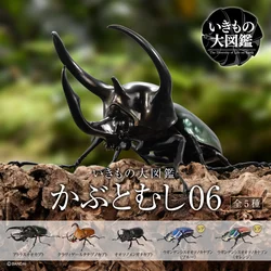 BANDAI Biological Encyclopedia Figures Model The Beatles Uang Model Gashapon Original toys