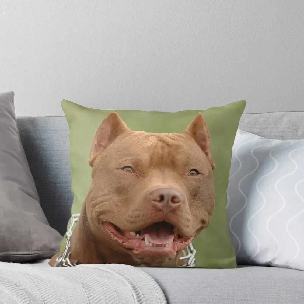 Pitbull red nose dog Throw Pillow Cushions Cover autumn pillowcase pillow