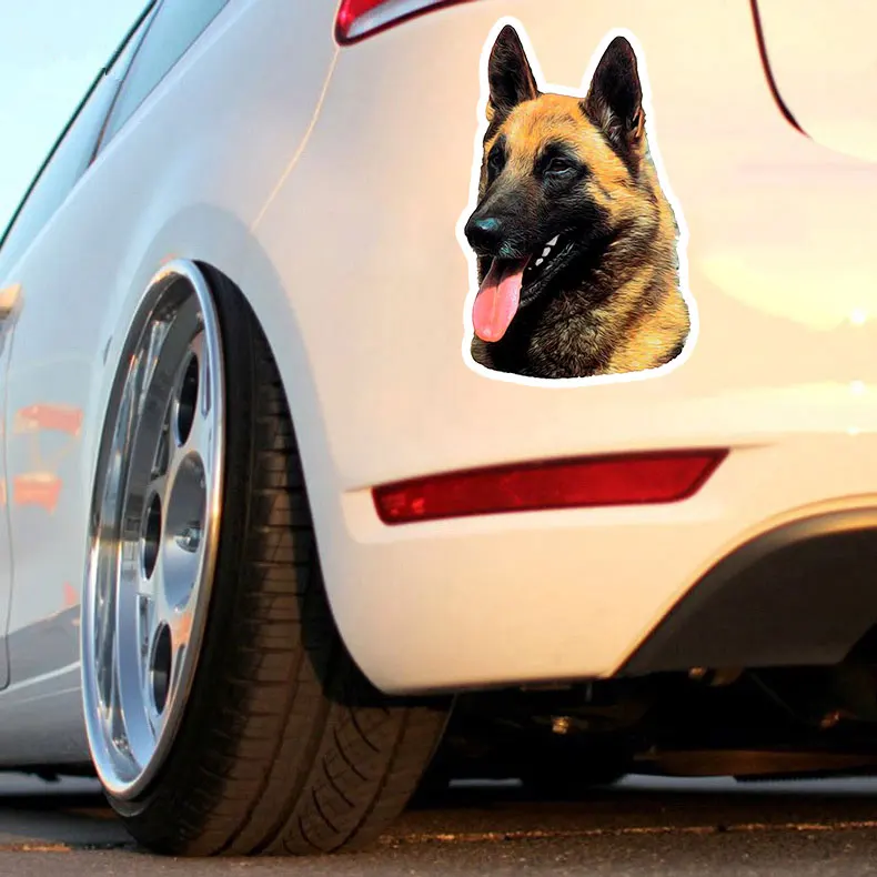 Car Sticker Creativity Malinois Sheepdog Personality Stickers PVC Fashion Auto Window Bumper Waterproof Cover Scratches Decals